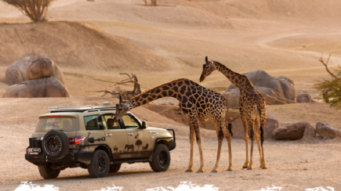 al ain zoo safari