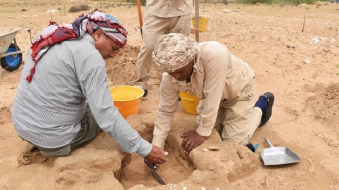 archaeology dig uaq 1