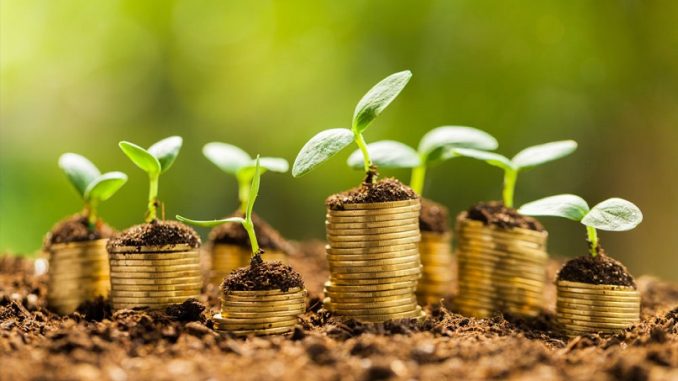 money growth